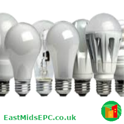 A variety of light bulbs